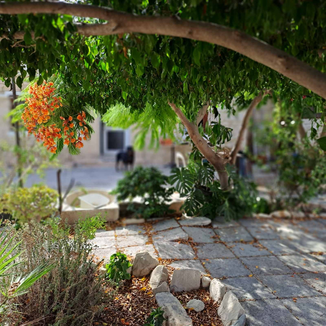 2 Bedrooms House / Villa in Agios Tychonas, Limassol