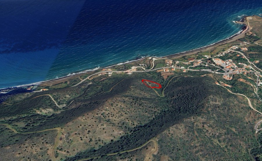 Land in Pachyammos, Nicosia